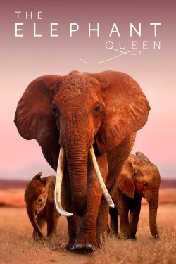 The Elephant Queen-watch