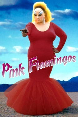 Pink Flamingos-watch