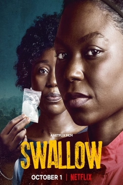 Swallow-watch