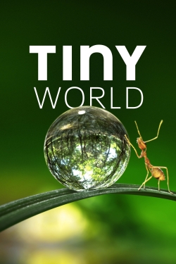 Tiny World-watch