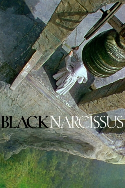 Black Narcissus-watch