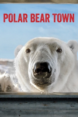 Polar Bear Town-watch