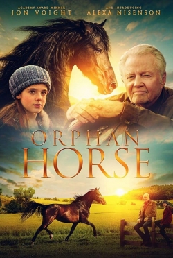 Orphan Horse-watch