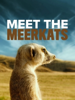 Meet The Meerkats-watch