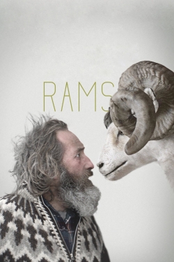 Rams-watch