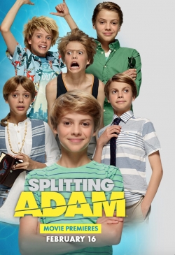 Splitting Adam-watch